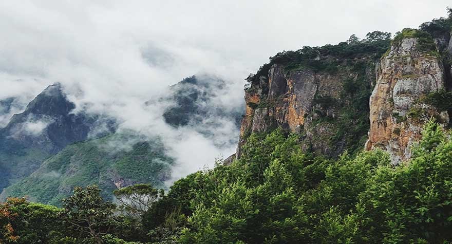Misty South